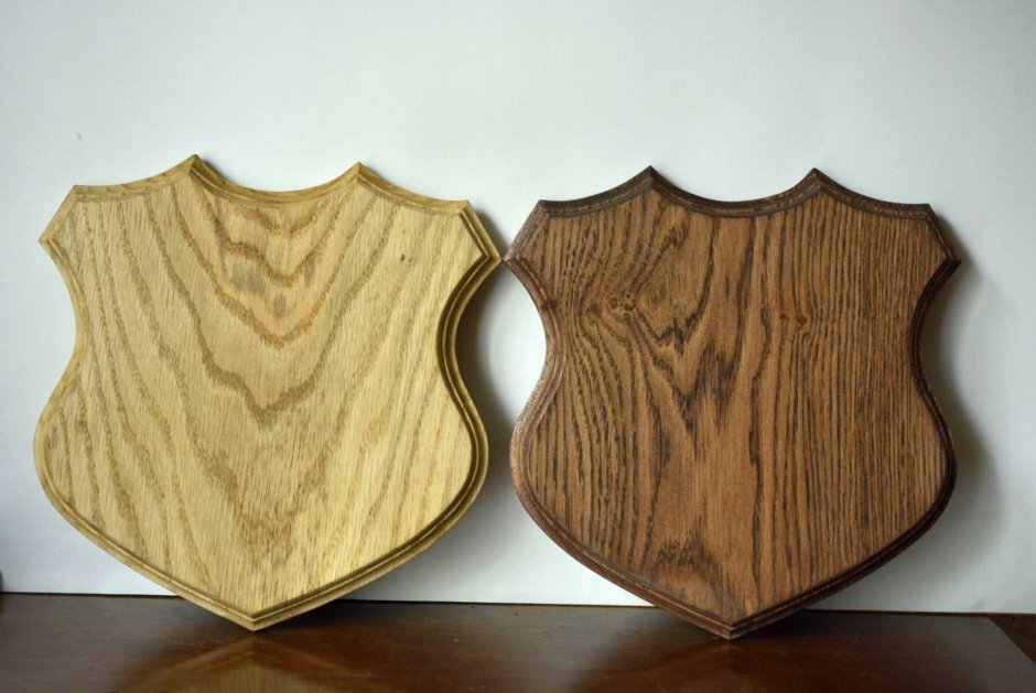 Щит для Рогов