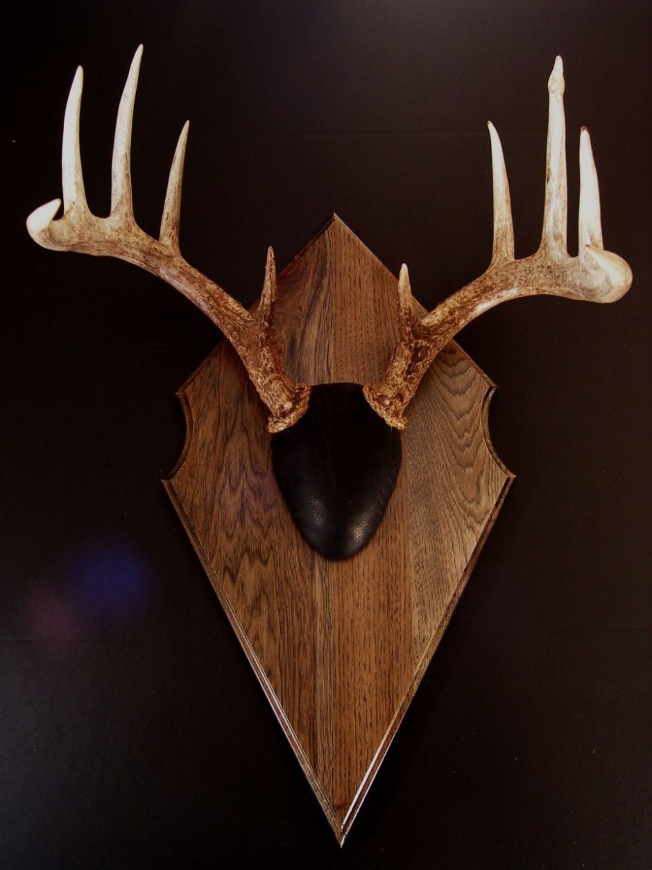 Резные медальоны под рога