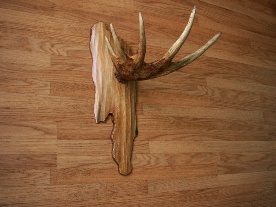Медальоны для рогов из дерева
