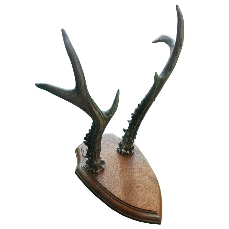 Простые медальоны для Рогов