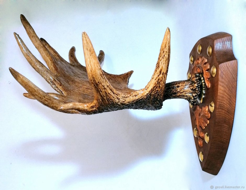 Медальон для трофея