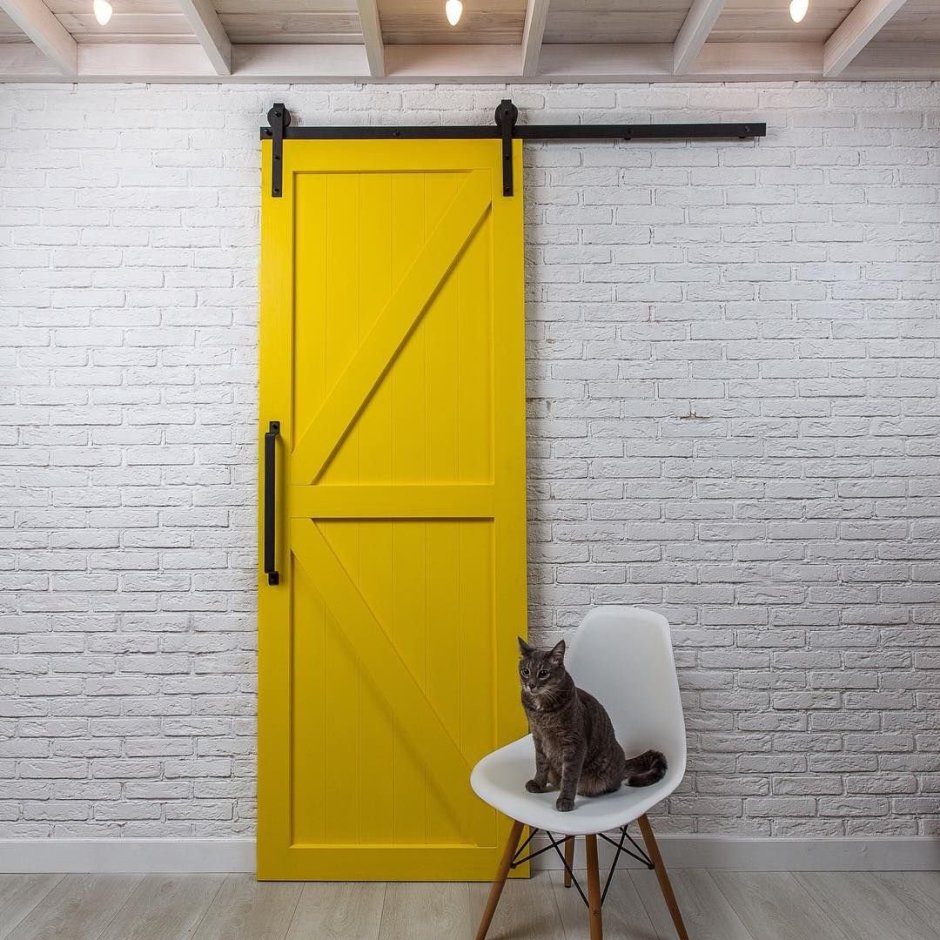Амбарная дверь Barn Door 100