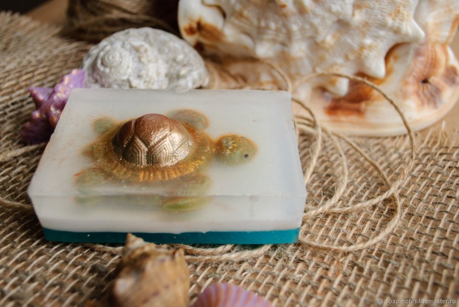 Морская раковина внутри