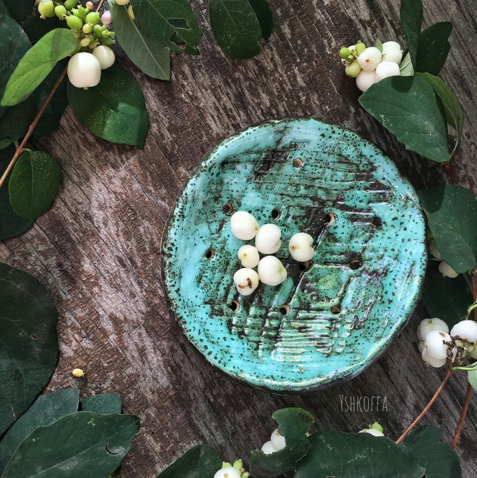 Мыльница из ракушек своими