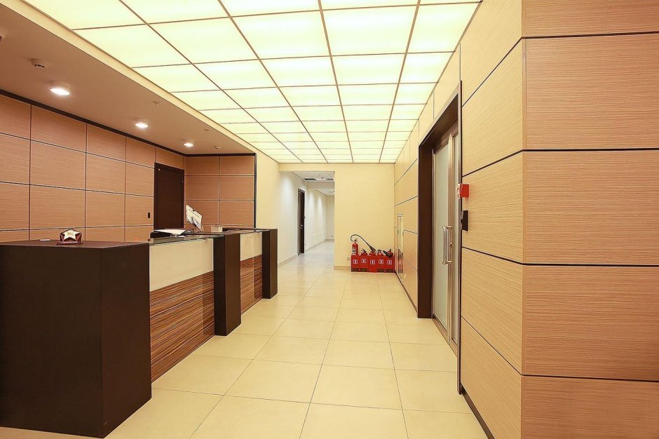 Forest 303 Криплат