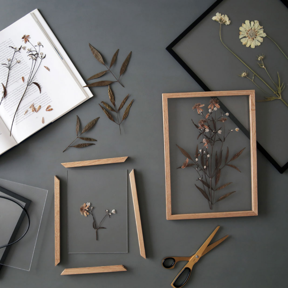 Гербарий в интерьере