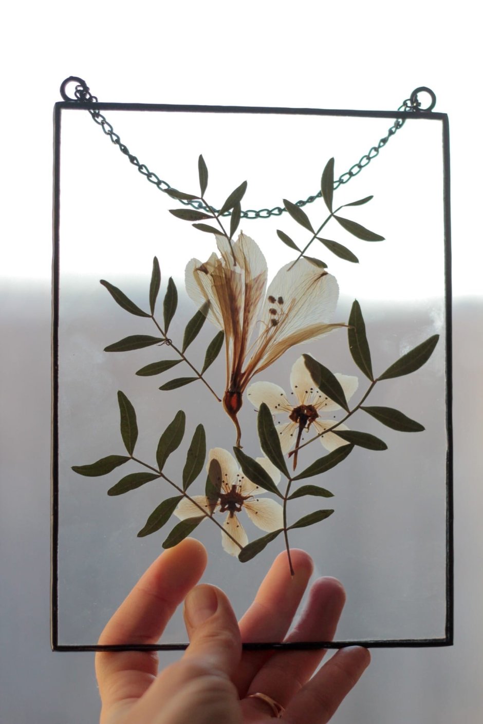 Техника Тиффани гербарий