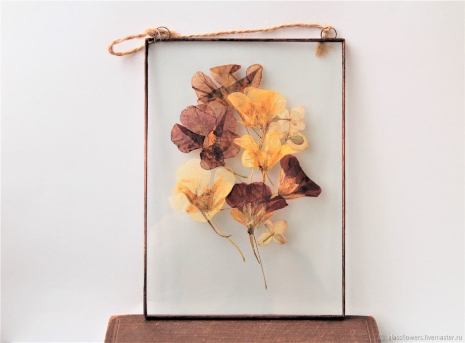 Гербарий в стекле