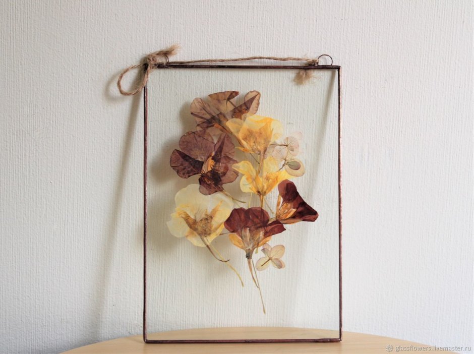 Гербарий под стеклом