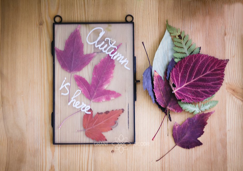 Стеклянные рамки для гербария своими руками