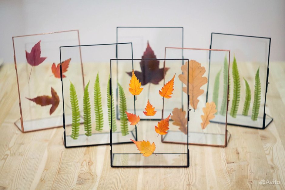 Гербарий в стекле