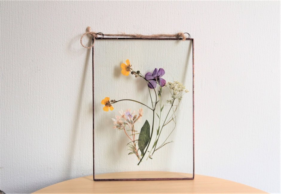 Гербарии из стекла