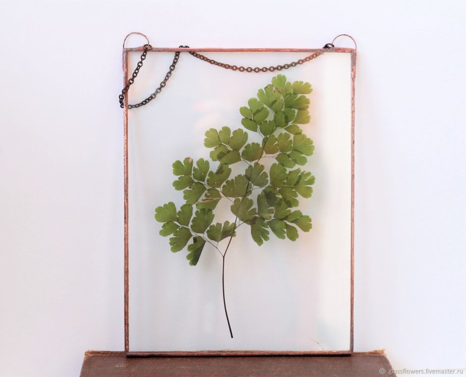 Гербарий в стиле Тиффани