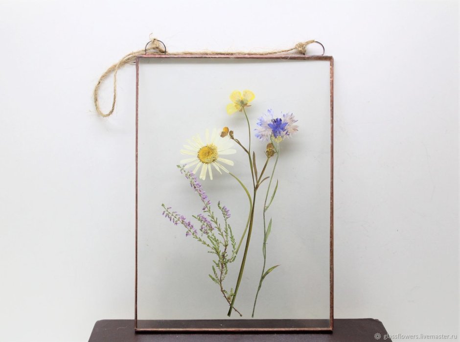 Панно гербарий