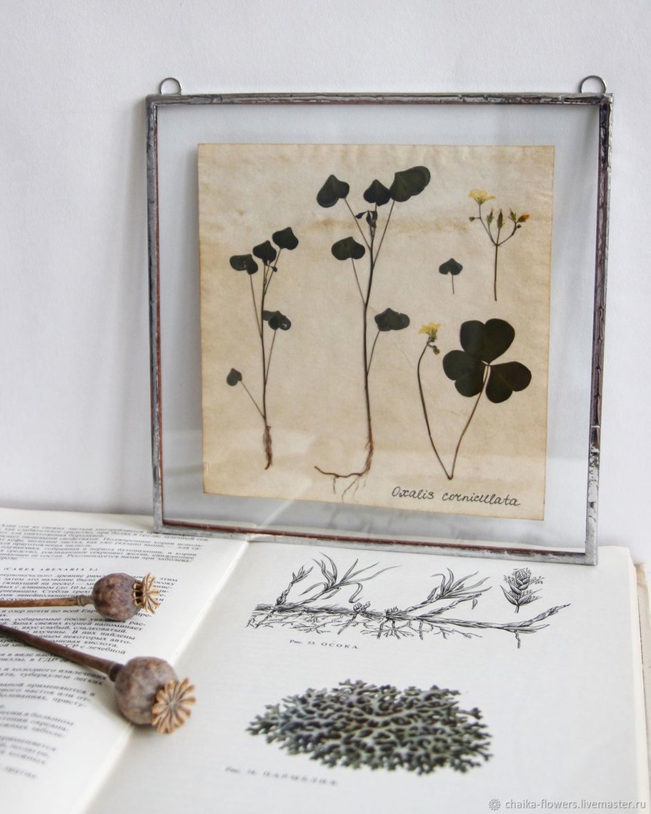 Украшения гербарий Тиффани