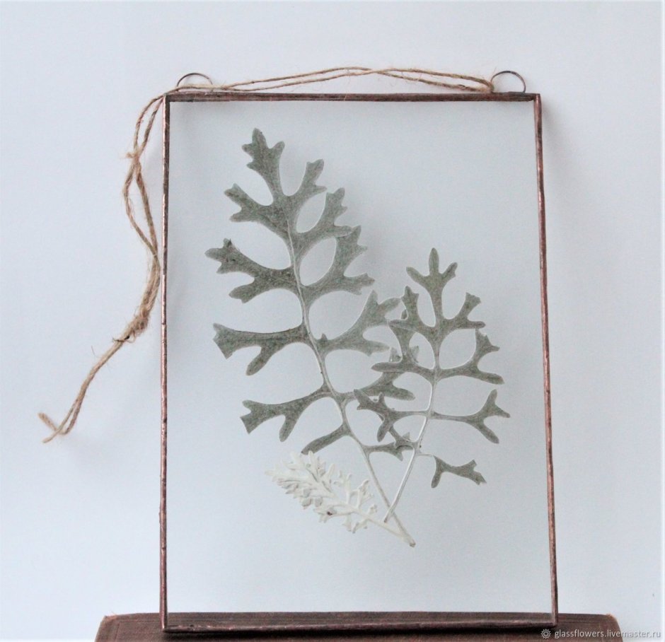 Стеклянная рамка для гербария