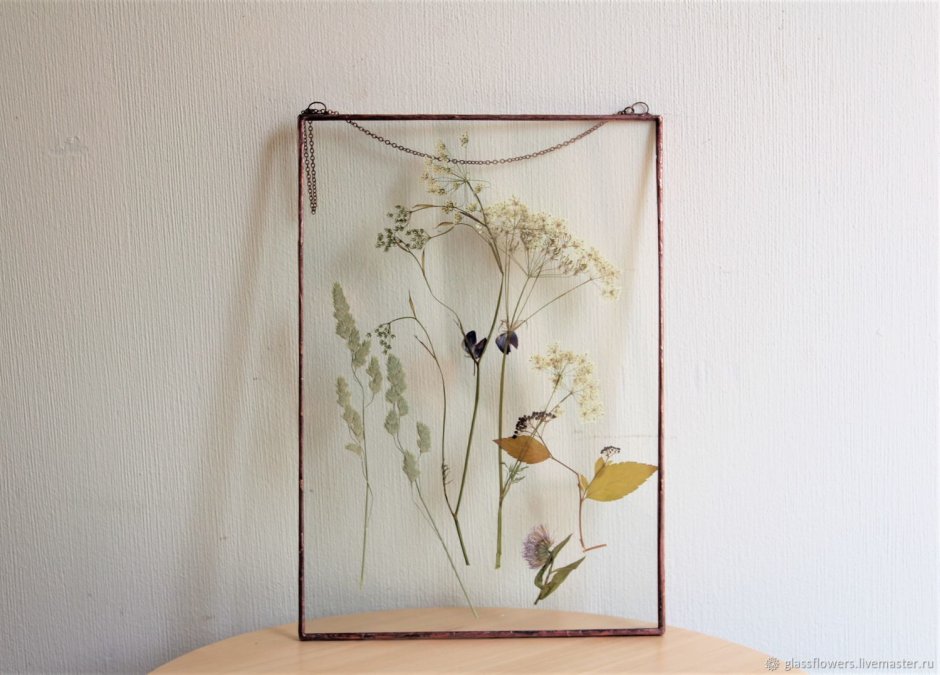 Стеклянный настенный гербарий
