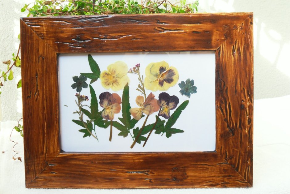 Гербарий в вазах