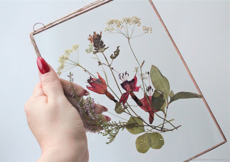 Стеклянная рамка для гербария