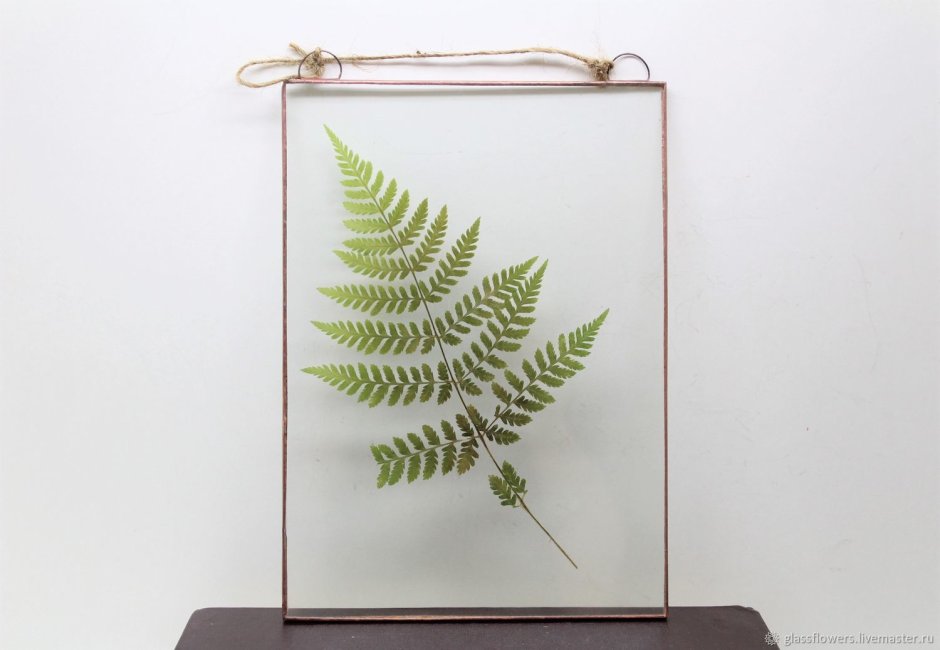 Стеклянные рамки с сухоцветами