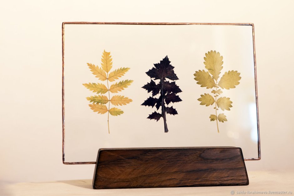 Гербарий Restoration Hardware