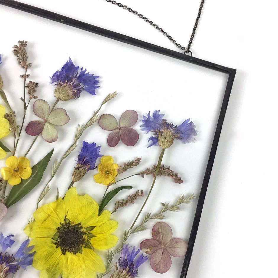 Лаванда гербарий