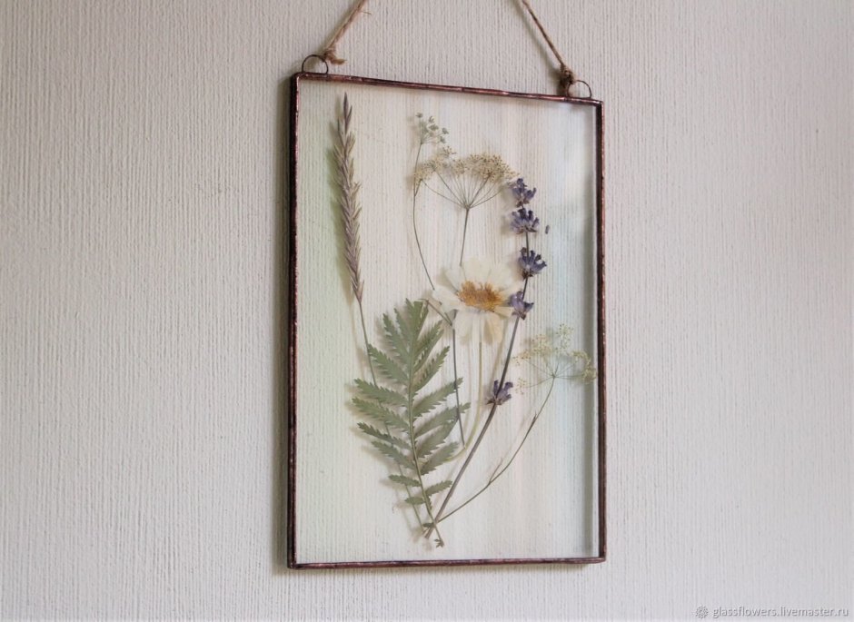 Картины гербарии для интерьера