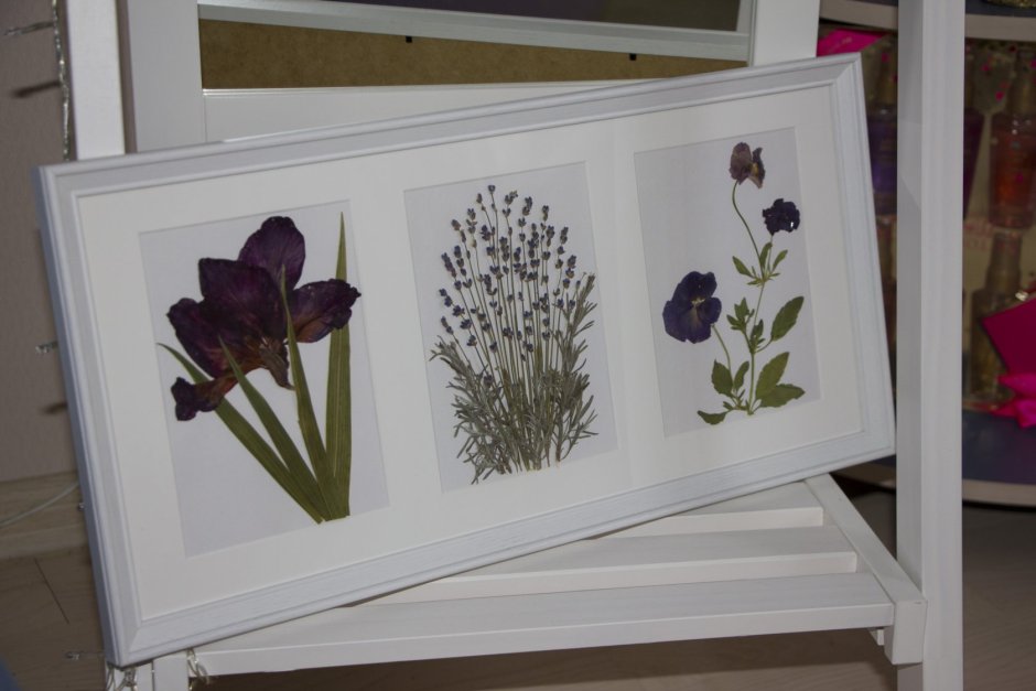 Рамка с двойным стеклом для гербария