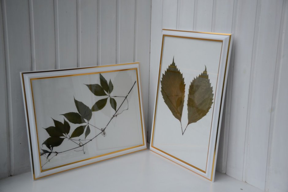 Фоторамка из натуральных материалов