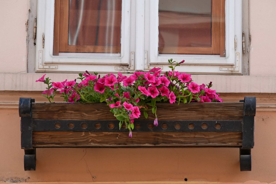 Кашпо для цветов под окно