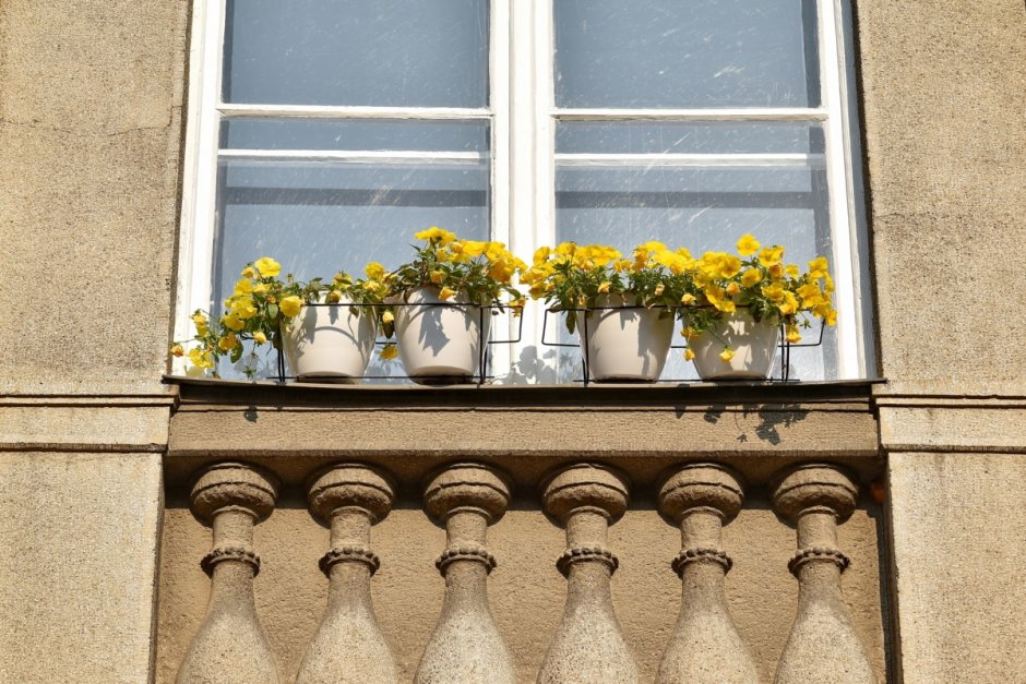 Цветы на окнах с улицы