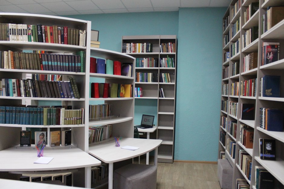 Модельная библиотека Гагино