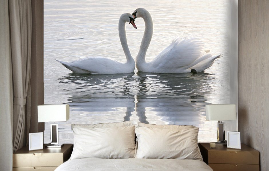 Фотообои лебеди