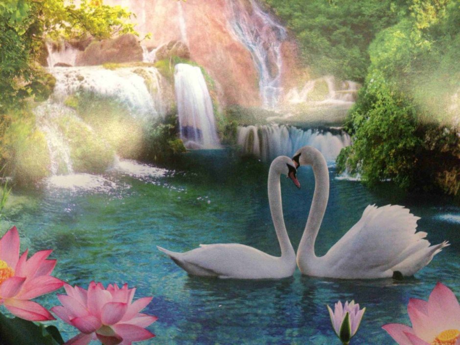 Диамонд Пайнтинг алмазная мозаика лебеди