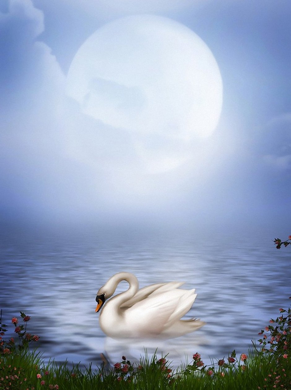 Лебеди алмазная мозаика на валберис