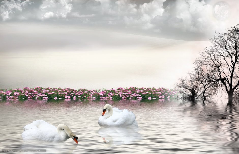 Картина черные лебеди Андрес Орпинас