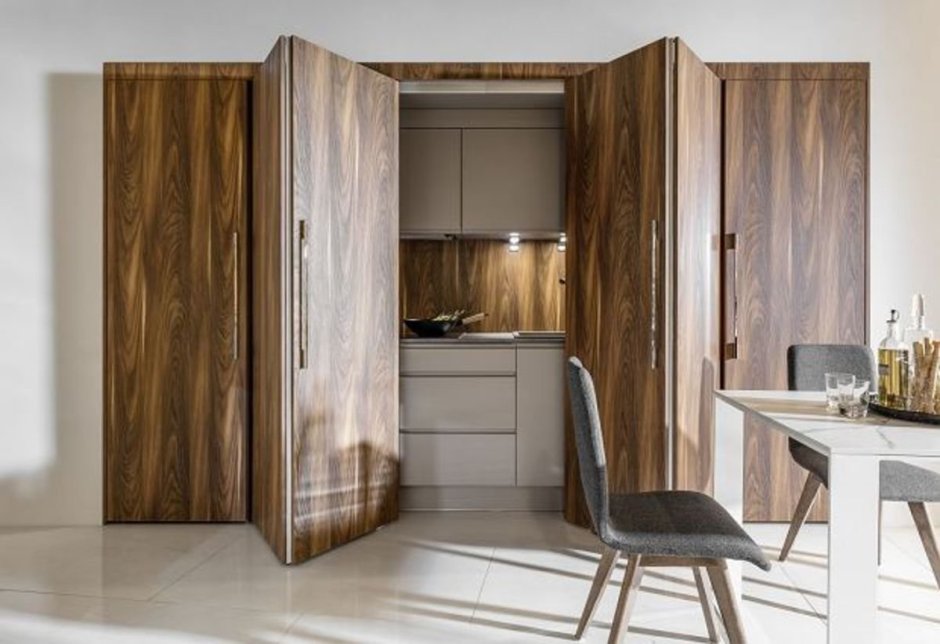 Выдвижная дверь на кухню