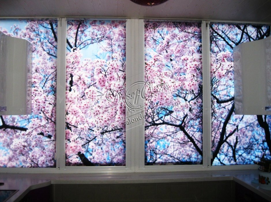 Рулонные жалюзи с фотопечатью на пластиковые окна