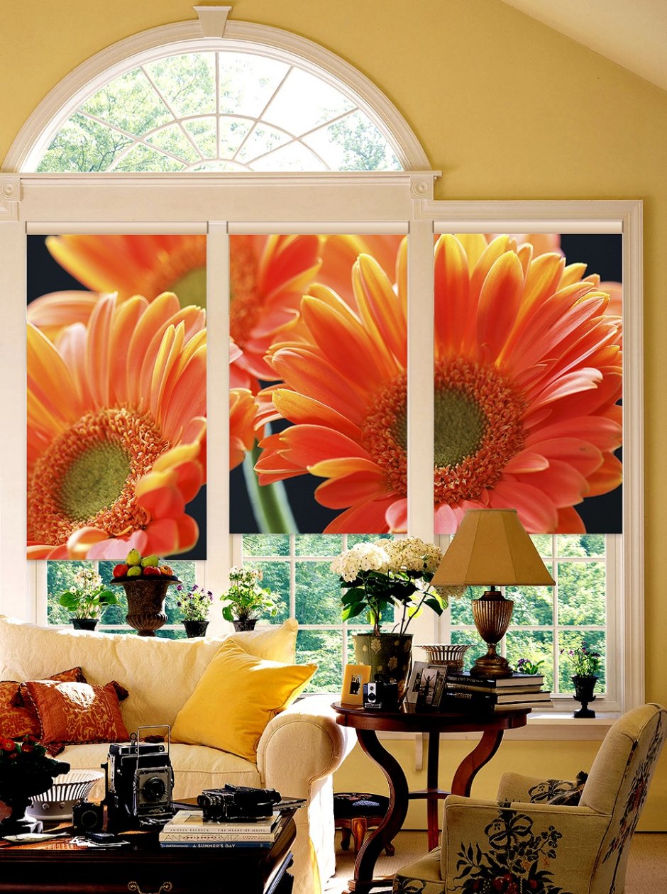 Жалюзи с фотопечатью