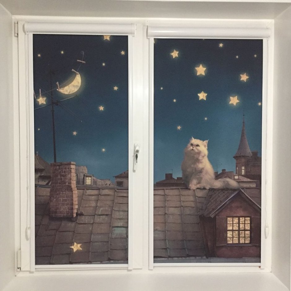 Рулонные шторы с фотопечатью