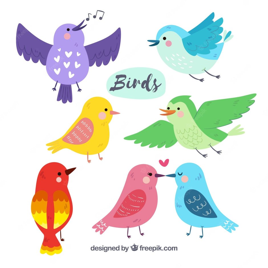 Птички цветные для детей
