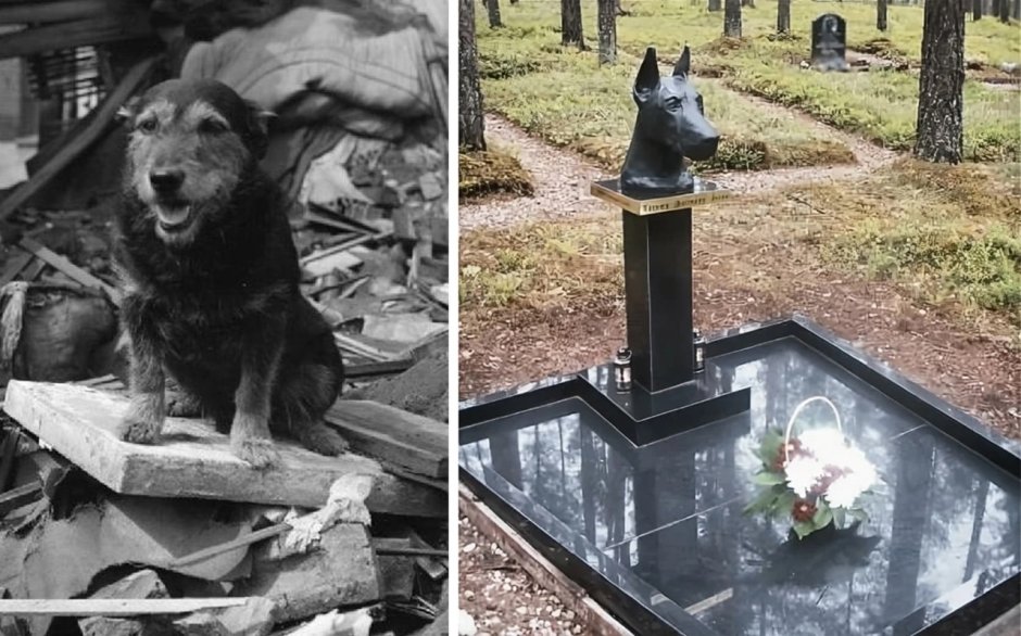 Памятник собаке в Спитаке