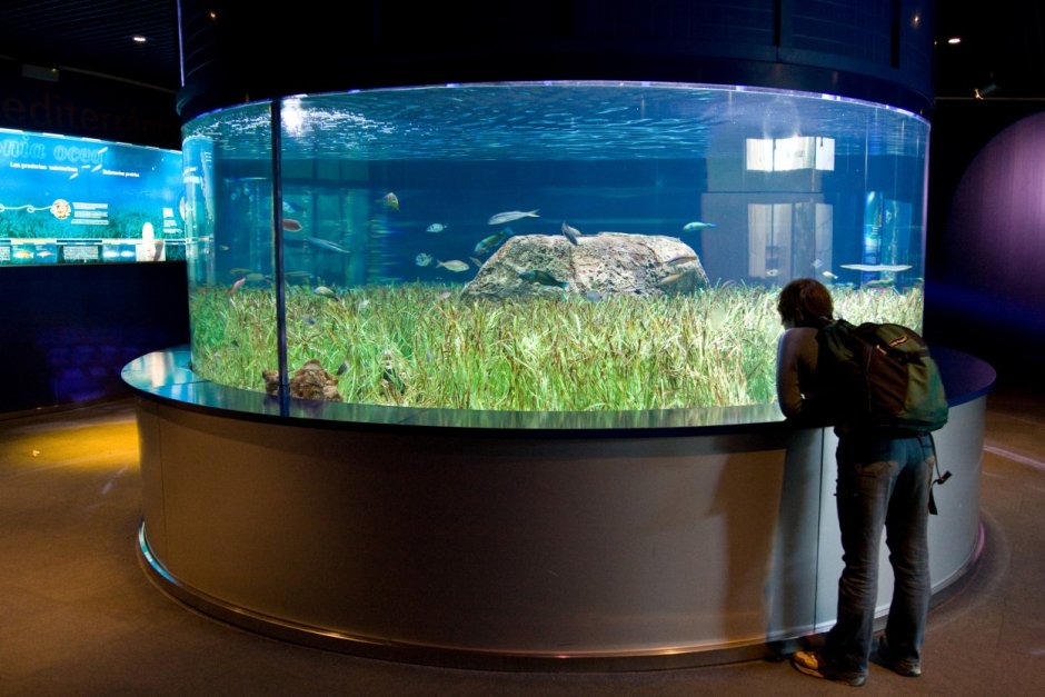 Встроенный аквариум