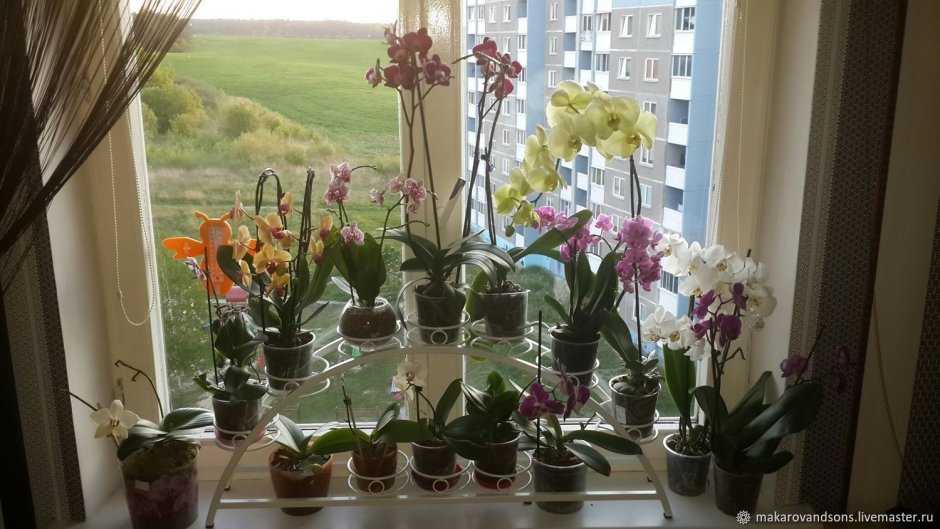 Подставка для орхидей на подоконник