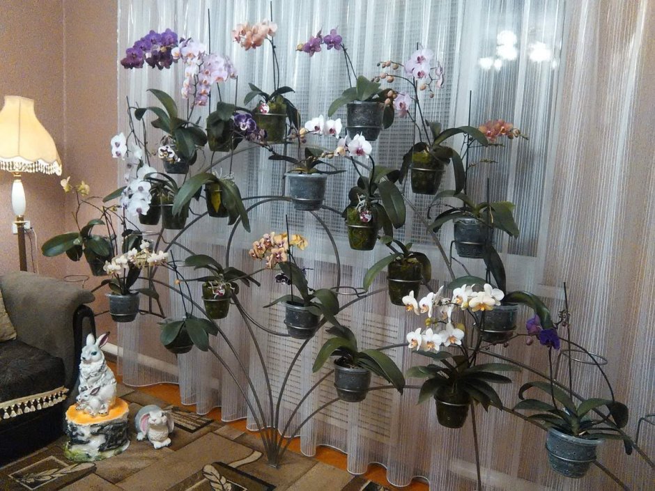 Подставка под орхидеи