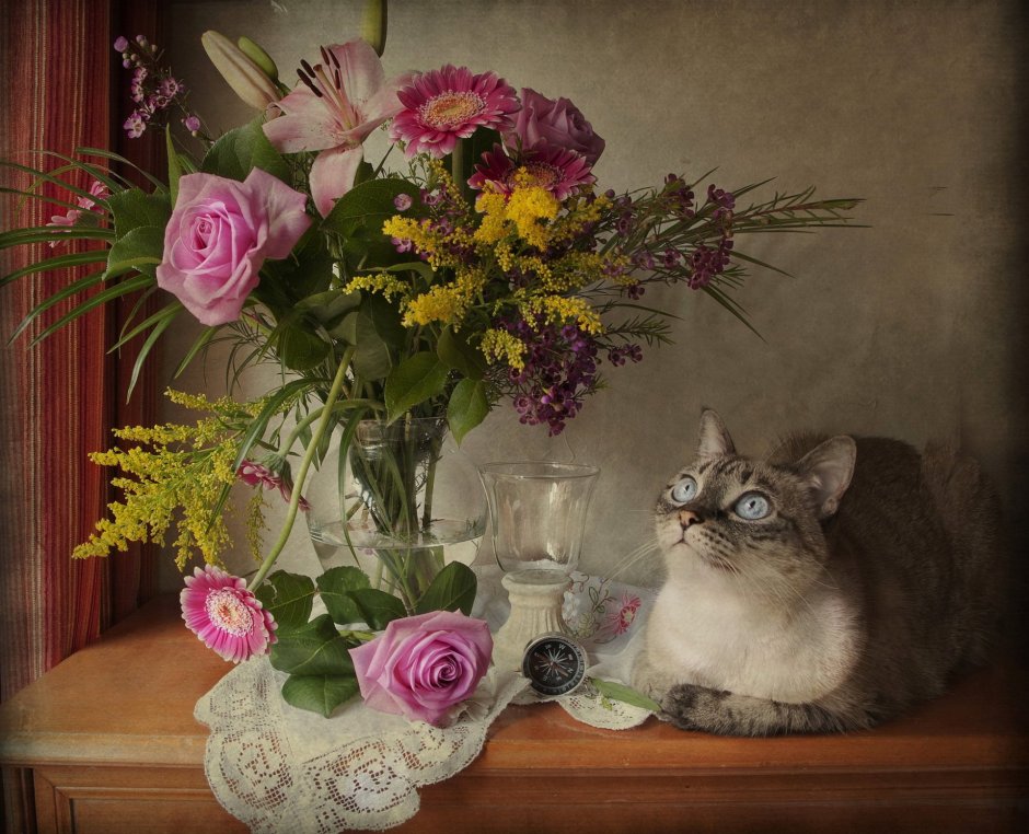 Кот и цветы