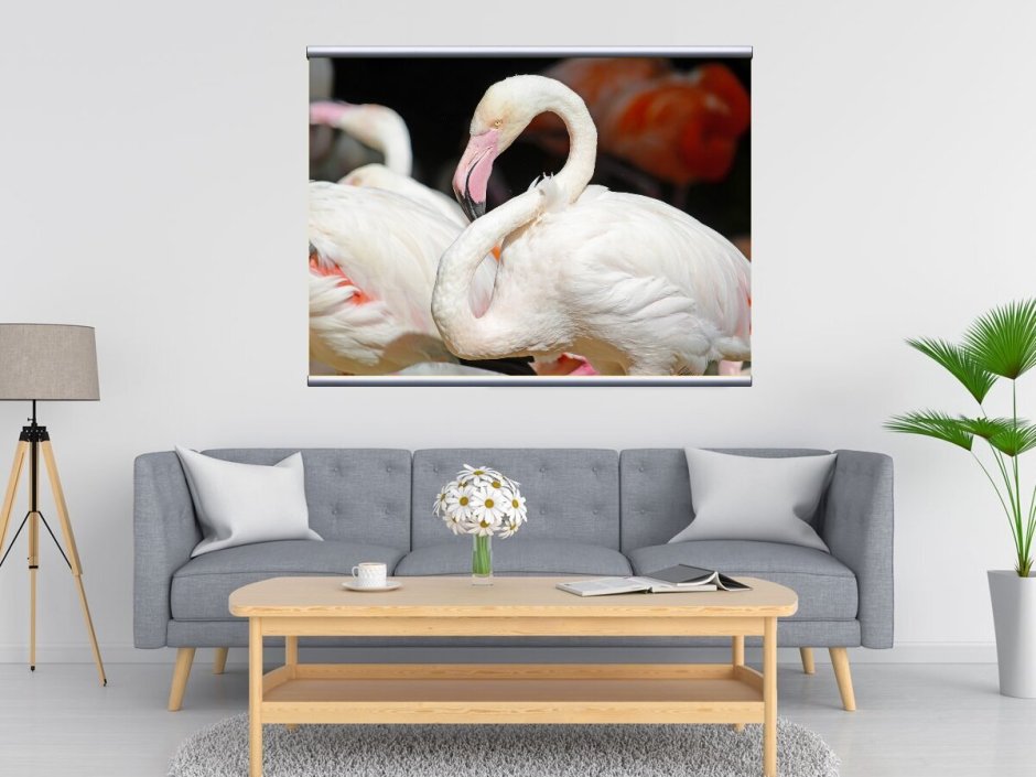 Картины с Фламинго в интерьере