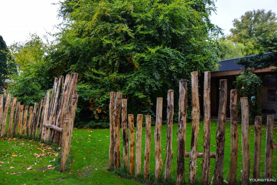 Забор деревянный деревенский